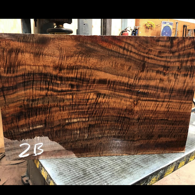 SANTA CRUZ Walnut