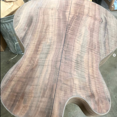 SANTA CRUZ Walnut Back