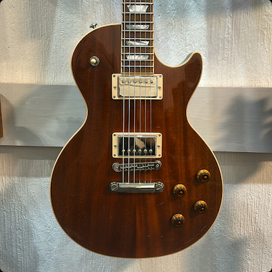 FGibson Les Paul Sunken Treasure